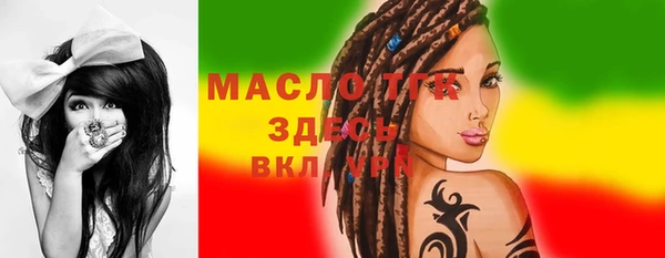 дмт Богородицк