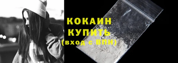 дмт Богородицк