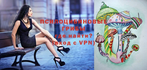 дмт Богородицк