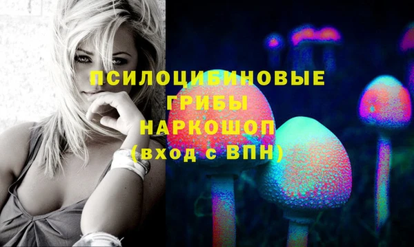 дмт Богородицк