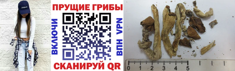 MEGA ONION  Воскресенск  Псилоцибиновые грибы ЛСД 